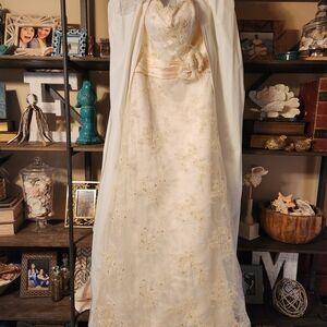 Elegant Ivory and Gold Embroidered Gown